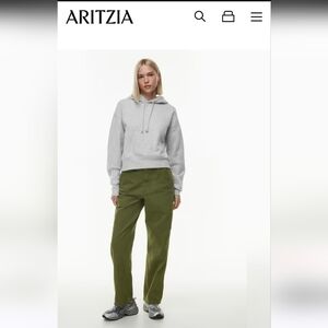 Aritzia TNA cargo pant 6